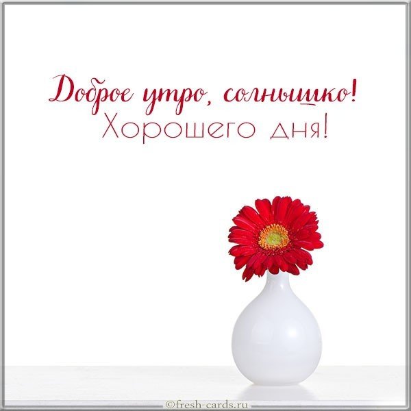 Картинка доброе утро солнышко хорошего дня