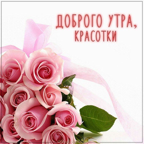 Картинка доброе утро страна смешная