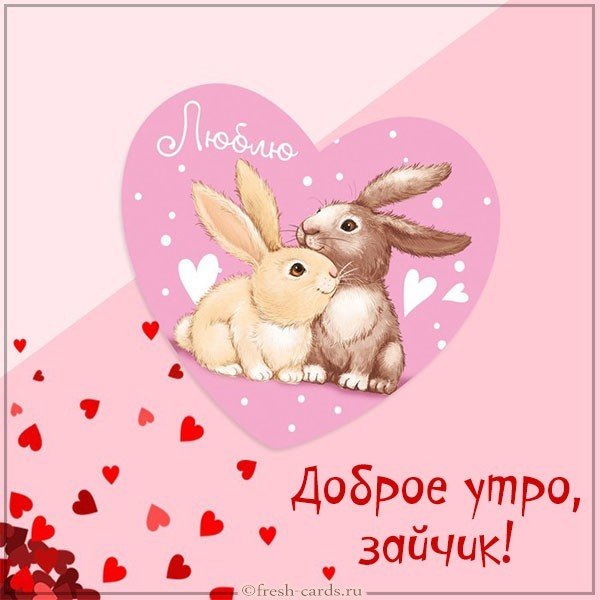 Картинка доброе утро зайчик прикольная