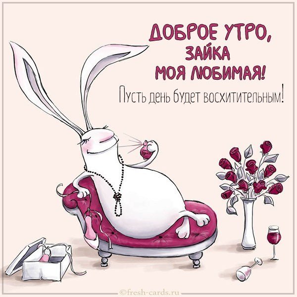 Картинка доброе утро зайка моя любимая