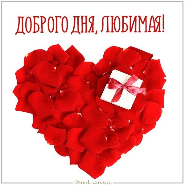 Картинка доброго дня любимая