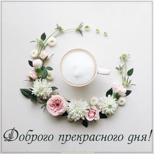 Картинка доброго прекрасного дня