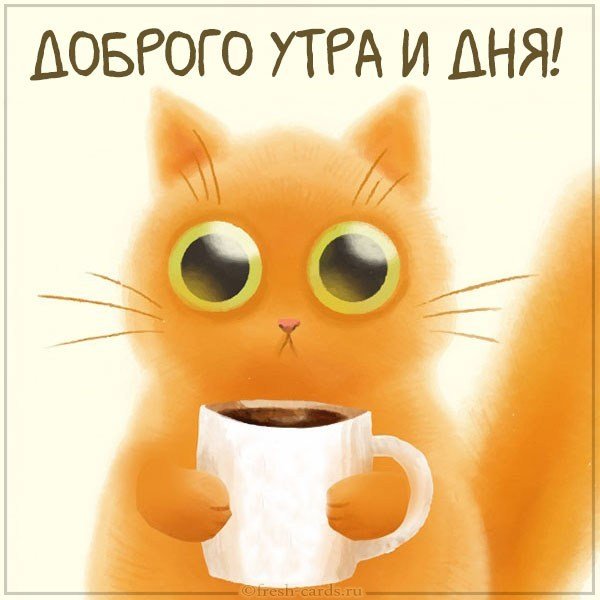 Картинка доброго утра и дня