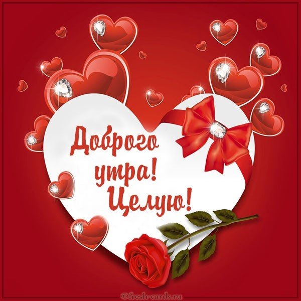 Картинка доброго утра целую