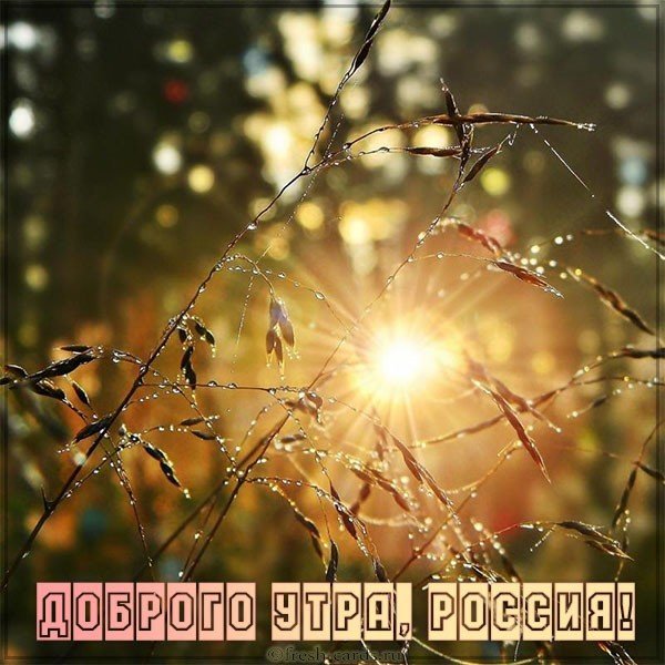 Картинка доброго утра цветы девочки