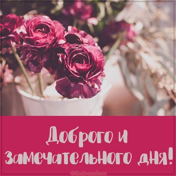 Картинка доброго замечательного дня