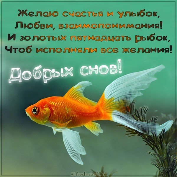 Картинка добрых снов прикольная мужчине