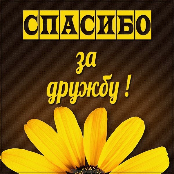 Картинка друзьям спасибо за дружбу