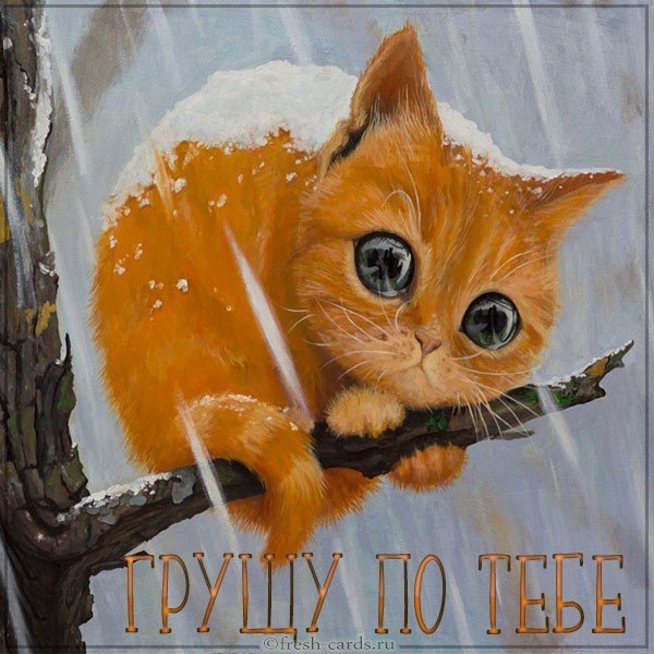 Картинка грущу по тебе