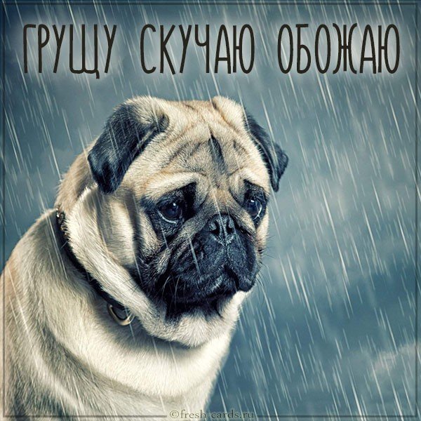 Картинка грущу скучаю обожаю