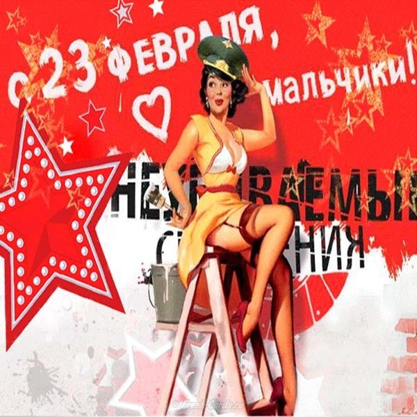 Картинка к 23 февраля прикольная