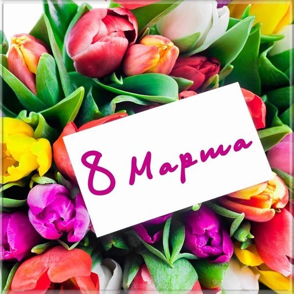 Картинка к 8 марта цветы