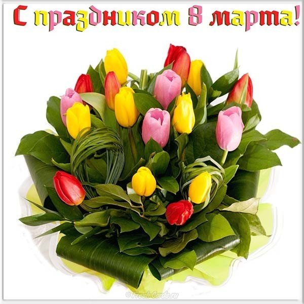 Картинка к 8 марта тюльпаны