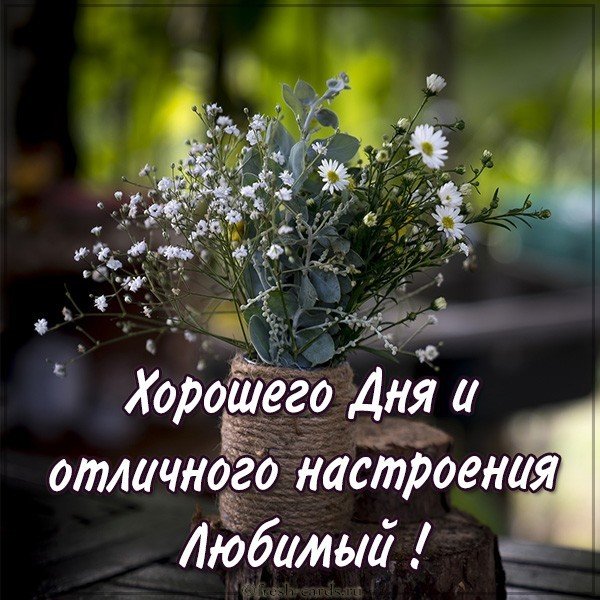 Картинка хорошего дня и отличного настроения любимый