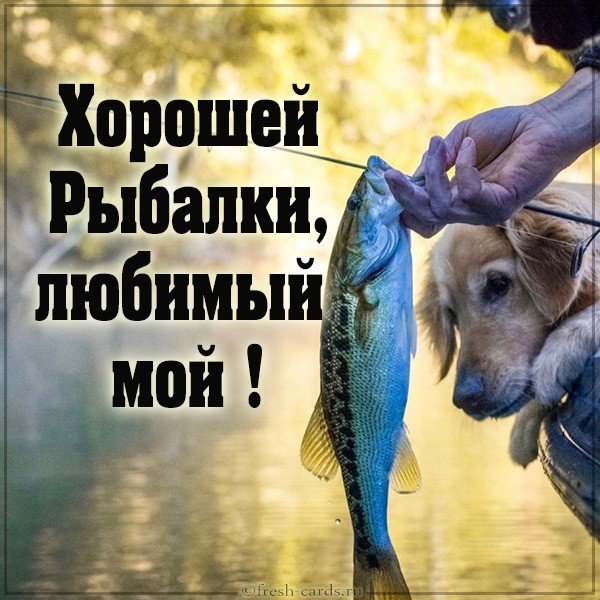 Картинка хорошей рыбалки любимый