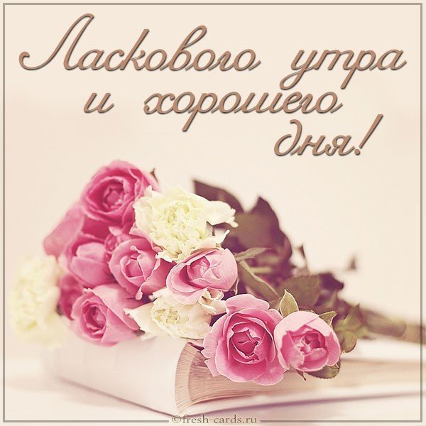 Картинка ласкового утра и хорошего дня