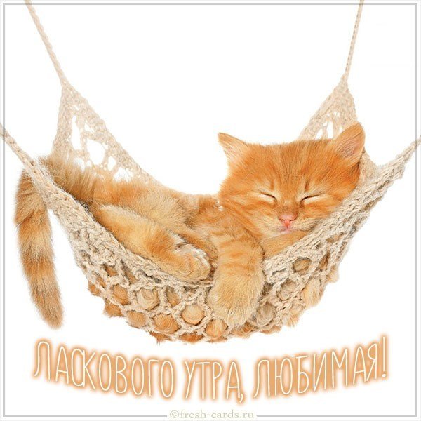 Картинка ласкового утра любимая