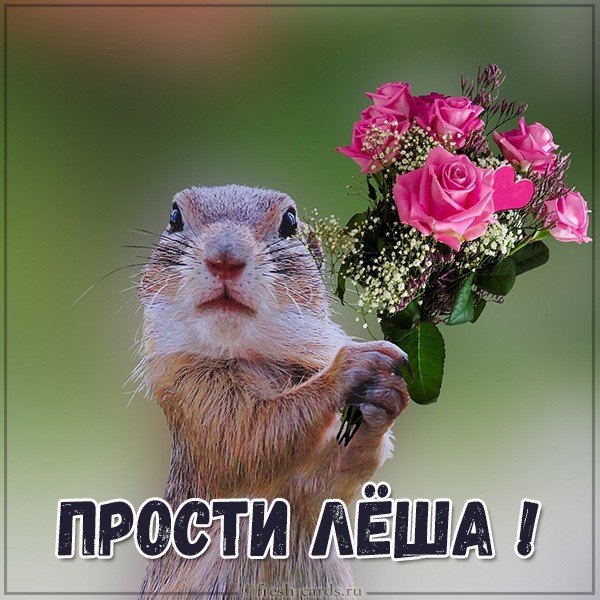 Картинка Леша прости