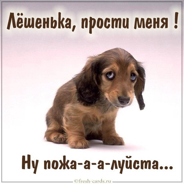 Картинка Лешенька прости меня пожалуйста