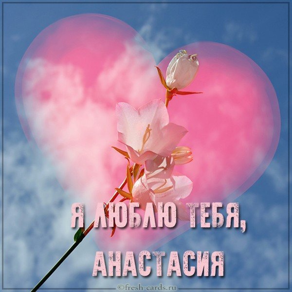 Картинка люблю тебя Анастасия