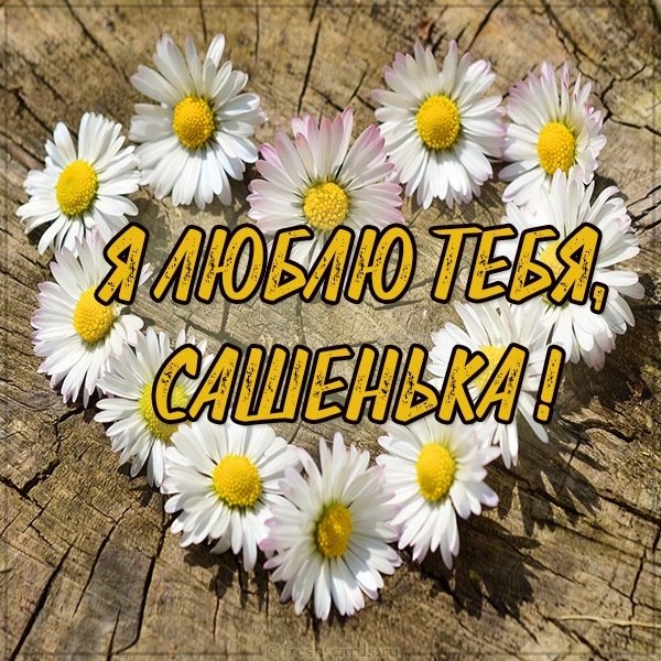Картинка люблю тебя Сашенька