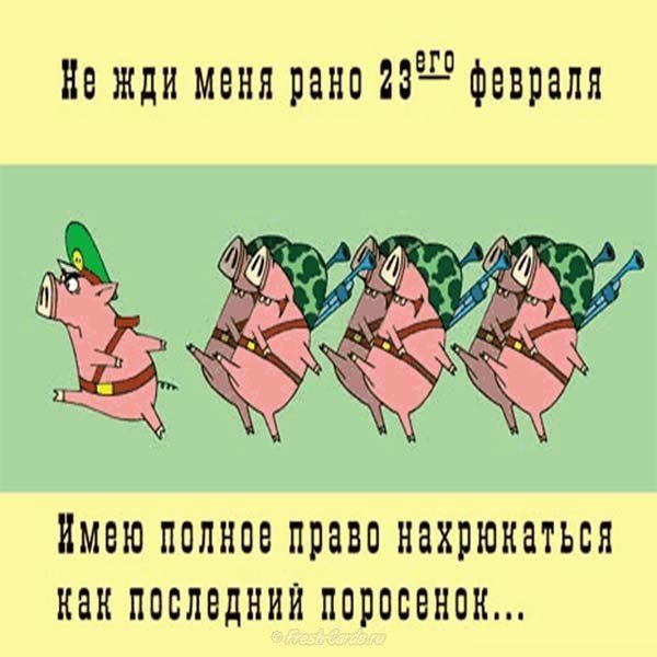 Картинка на 23 февраля прикольная