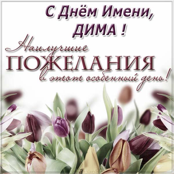 Картинка на день имени Дима