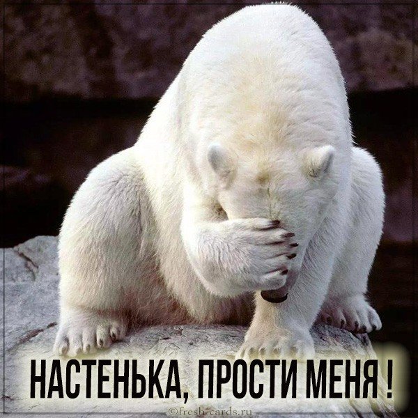 Картинка Настенька прости меня