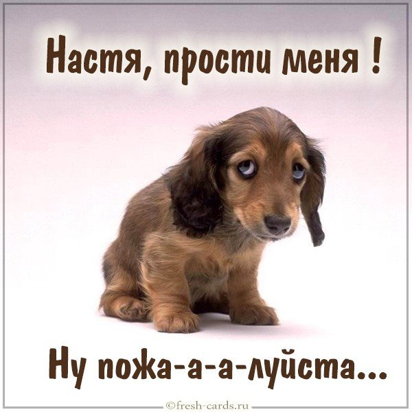 Картинка Настя прости меня