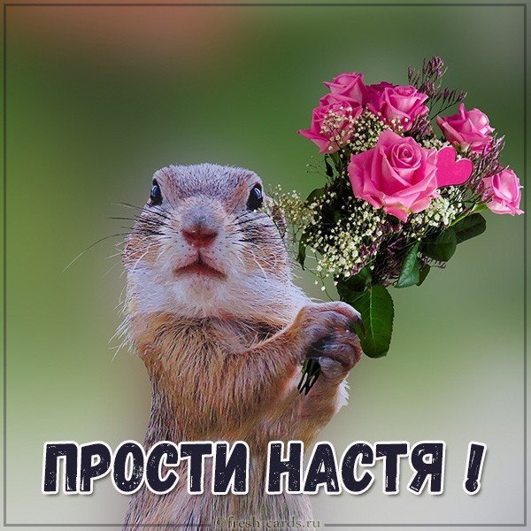 Картинка Настя прости
