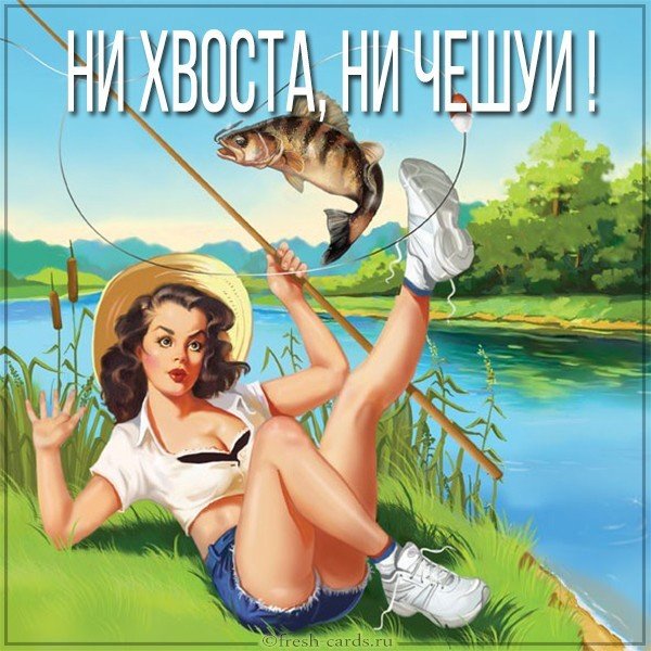 Картинка ни хвоста ни чешуи