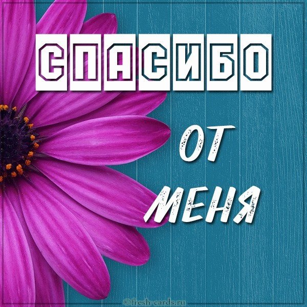 Картинка открытка со словом спасибо