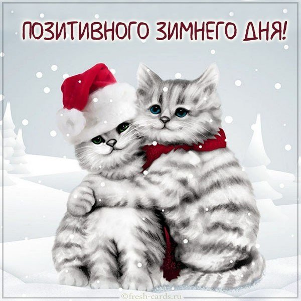 Картинка позитивного зимнего дня