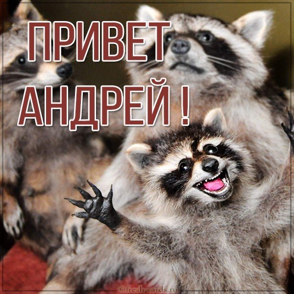 Картинка привет Андрей