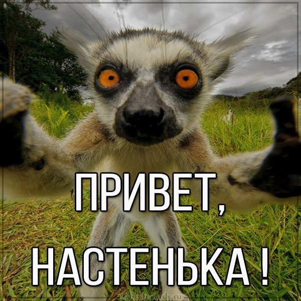 Картинка привет Настенька
