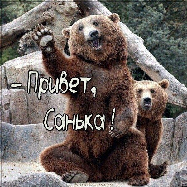 Картинка привет Санька