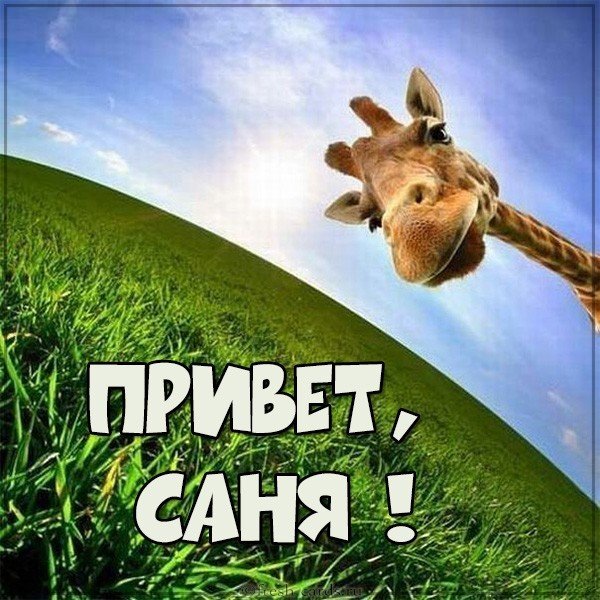 Картинка привет Саня