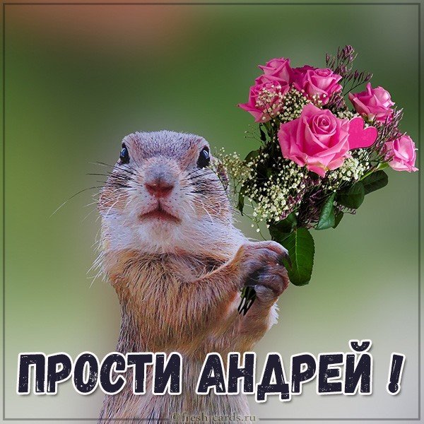 Картинка прости Андрей