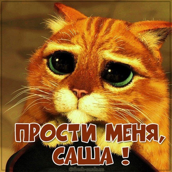 Картинка прости меня Саша