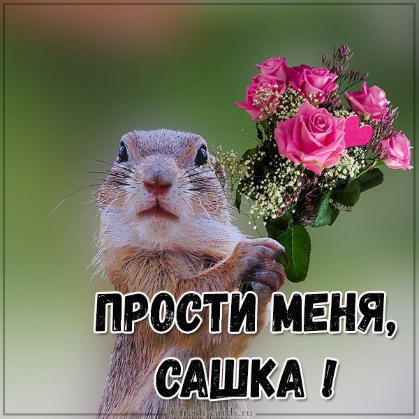Картинка прости меня Сашка
