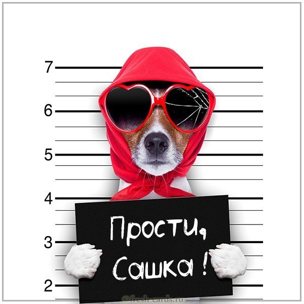 Картинка прости Сашка