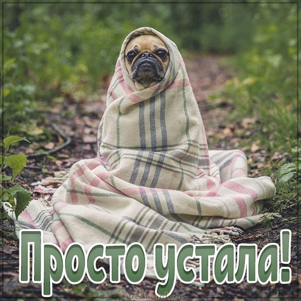 Картинка просто устала
