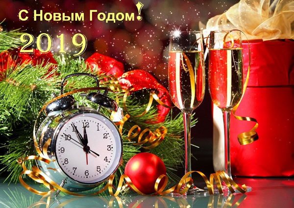 Картинка с 2019 Новым Годом свиньи красивая загрузить