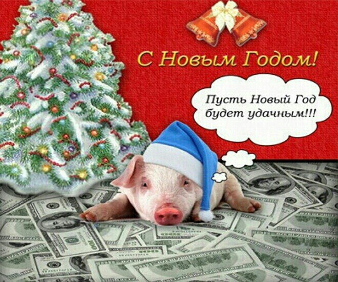 Картинка с 2019 Новым Годом свиньи поздравительная загрузить