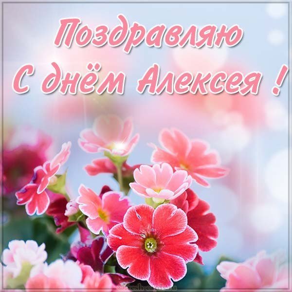 Картинка с днем Алексея
