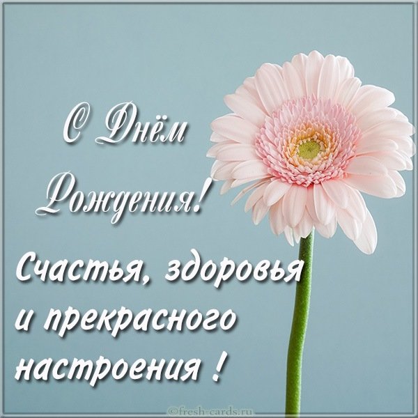 Картинка с днем рождения с цветами и пожеланием