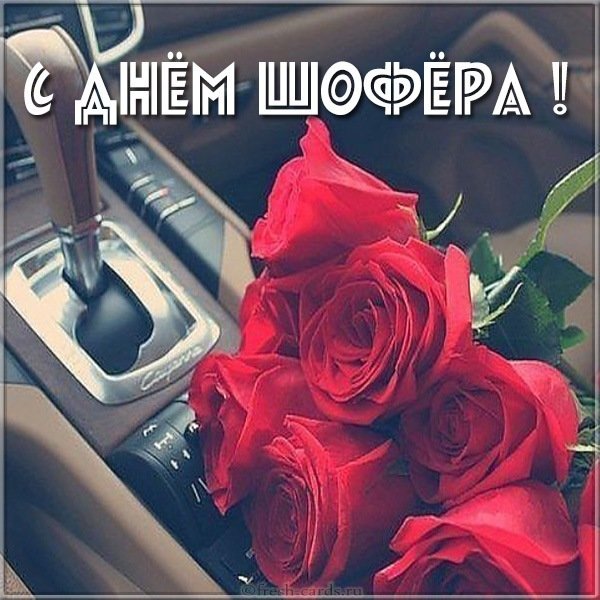 Картинка с днем шофера для девушек