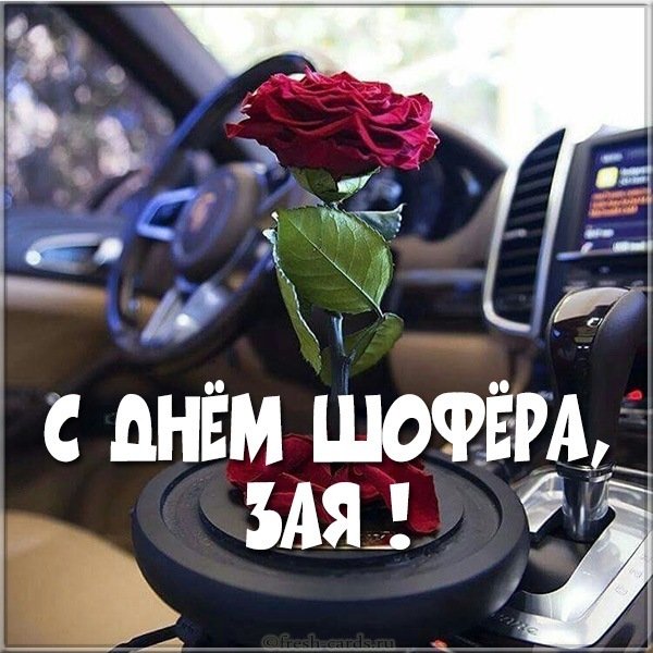 Картинка с днем шофера зая