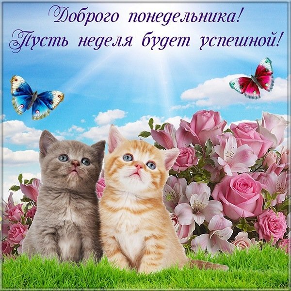 Картинка с добрым понедельником бесплатная
