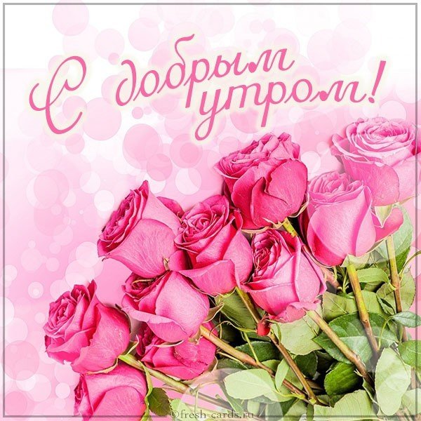 Картинка с добрым утром девушке с цветами